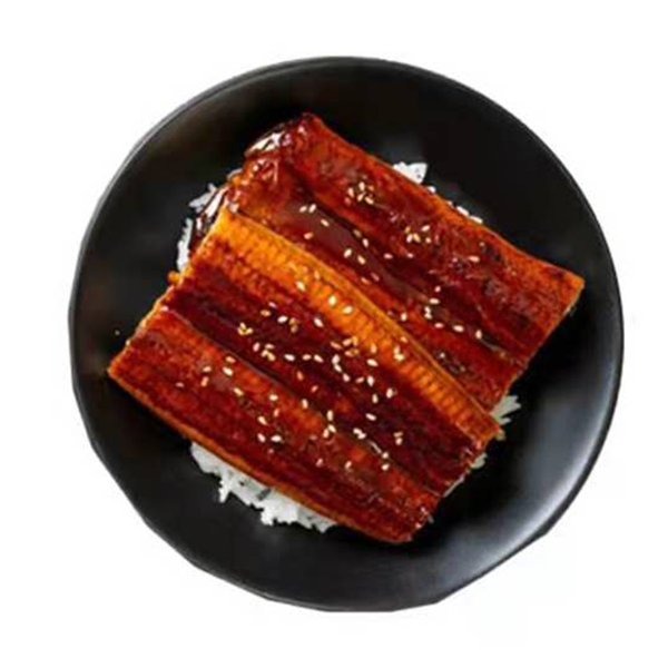 UNAGI DON